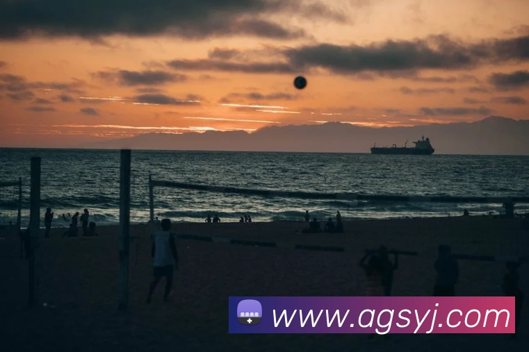 App Interface Preview