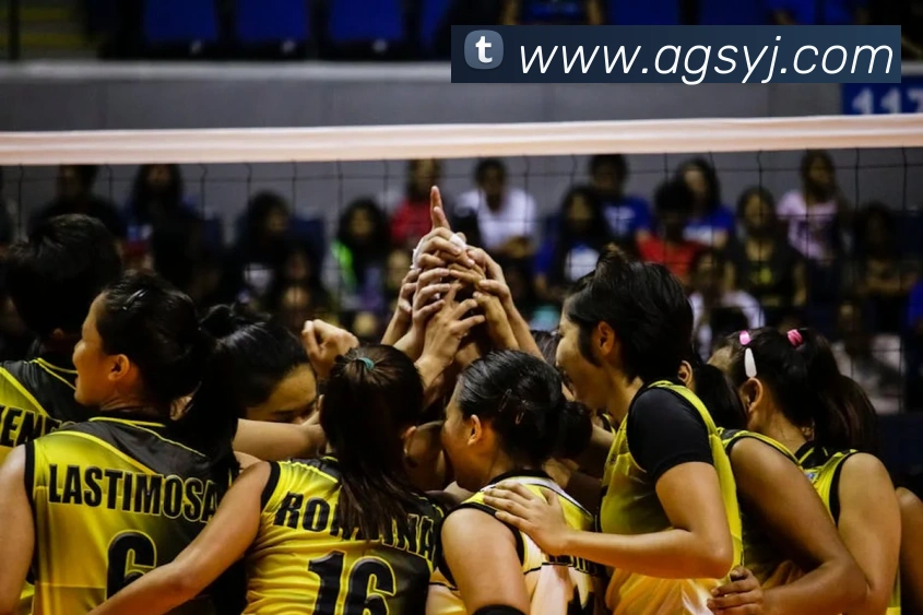 ag官网APP 封面图